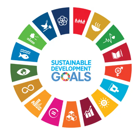 Screenshot-2024-08-26-180105